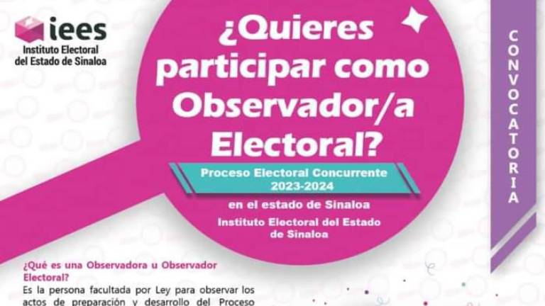 Los interesados en participar en el proceso electoral de 2024 como observadores electorales pueden inscribirse hasta el próximo 7 de mayo.