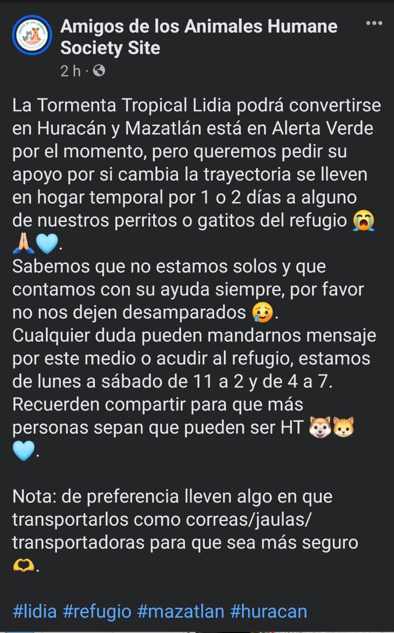 $!Ante ‘Lidia’, llaman a dar hogar temporal a perros y gatos de Amigos de los Animales