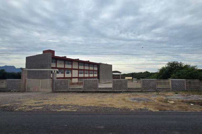 Ataque de abejas en plantel de Rosario deja a dos estudiantes heridos