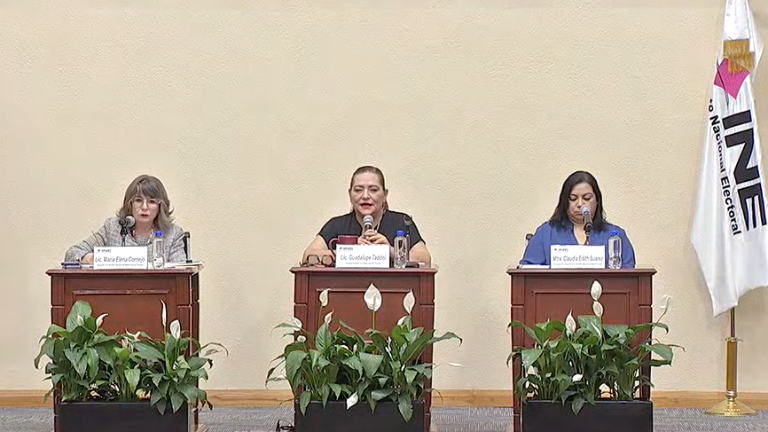 Guadalupe Taddei declaró que el País debería estar de manteles largos y que ocupa muy poquito del Presupuesto Federal.