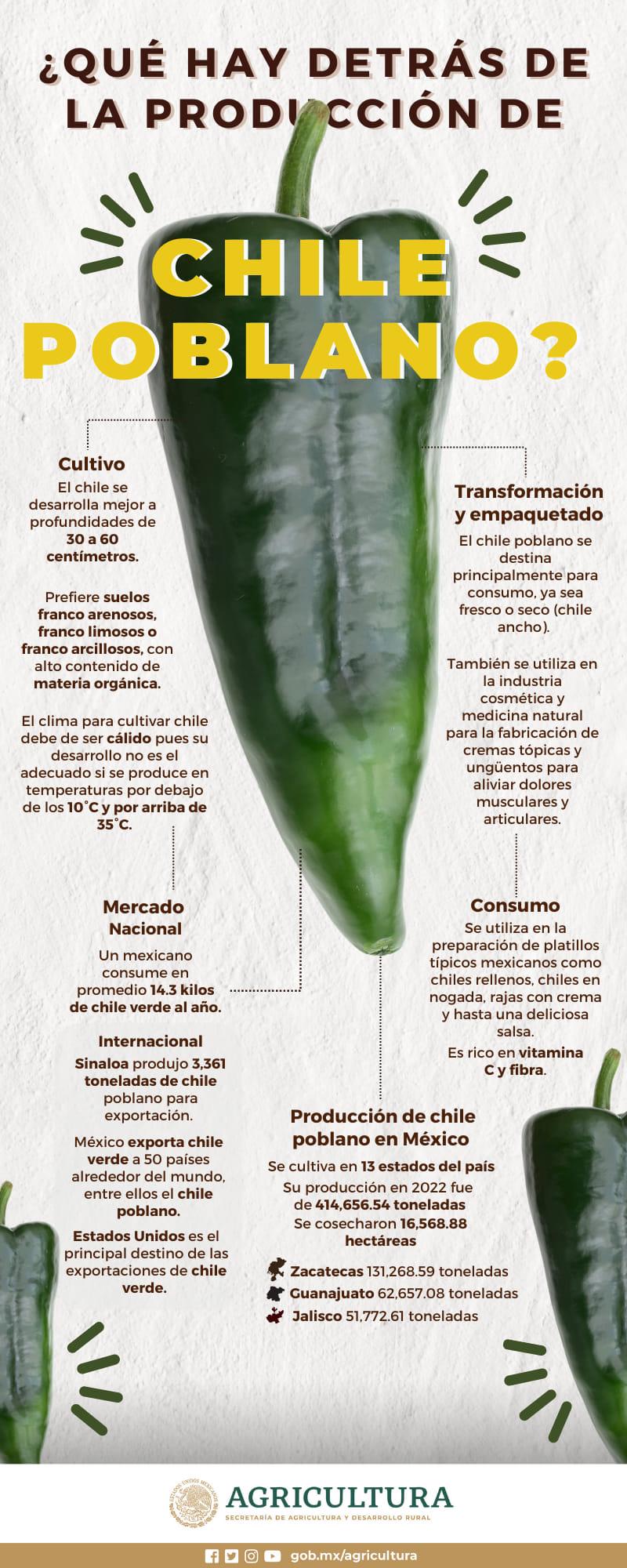 $!Listos los ingredientes del chile en nogada para acompañar los festejos patrios