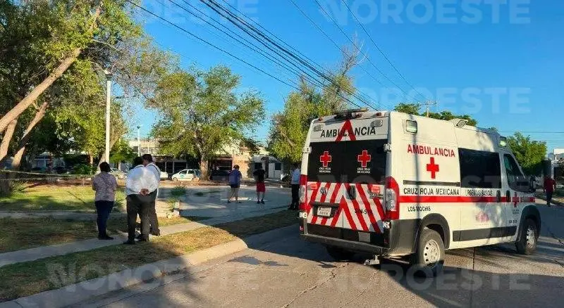 $!Hallan sin vida a hombre en parque del fraccionamiento San Fernando, en Los Mochis