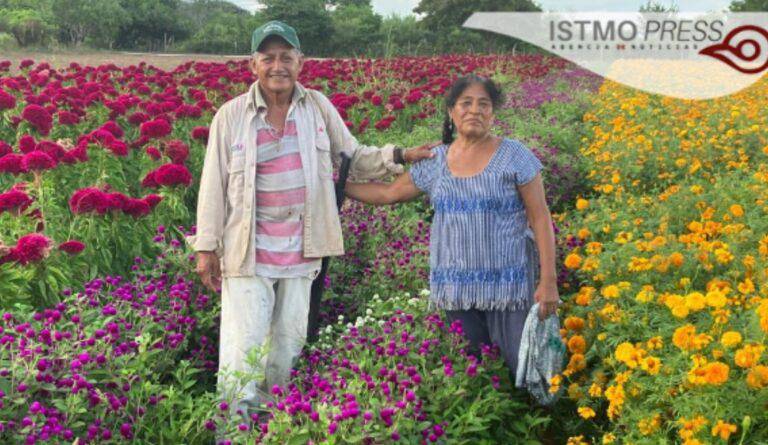 Siembran Victorina e Isaías por tradición aunque ya no llueva como antes
