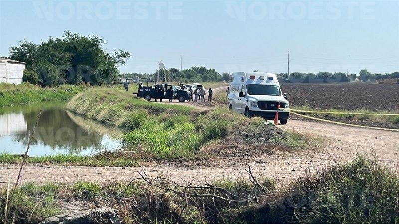 $!Hallan cuerpo con signos de violencia en campo de Villa Juárez, Navolato