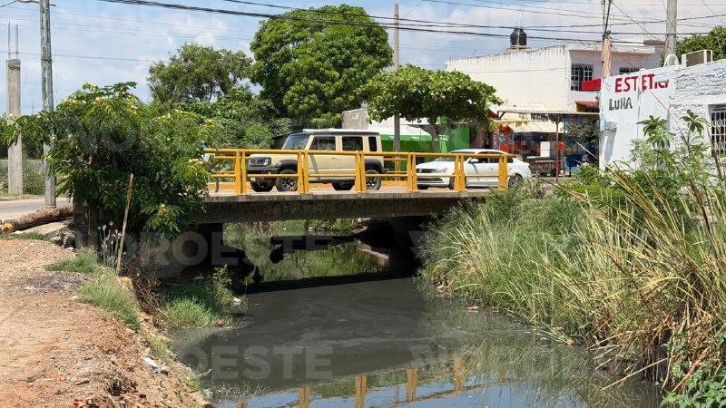 $!Atemoriza cocodrilo de 2 metros a vecinos de la Francisco I. Madero, en Mazatlán