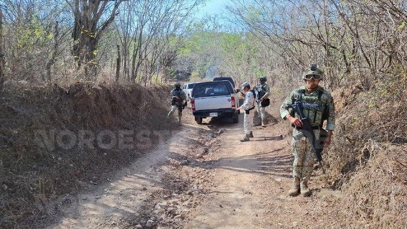 $!Despliegan operativo por hallazgo de presunta fosa clandestina en El Verde, Concordia
