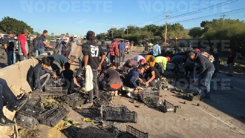 $!Tráiler con aguacate vuelca en Los Mochis: desatan rapiña tras fuerte impacto en la México 15