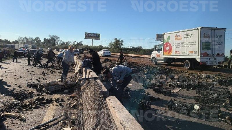 $!Tráiler con aguacate vuelca en Los Mochis: desatan rapiña tras fuerte impacto en la México 15