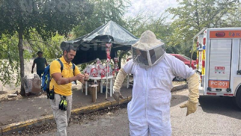 $!Enjambre desata emergencia en Medicina de la UAS en Culiacán: nueve afectados y clases suspendidas