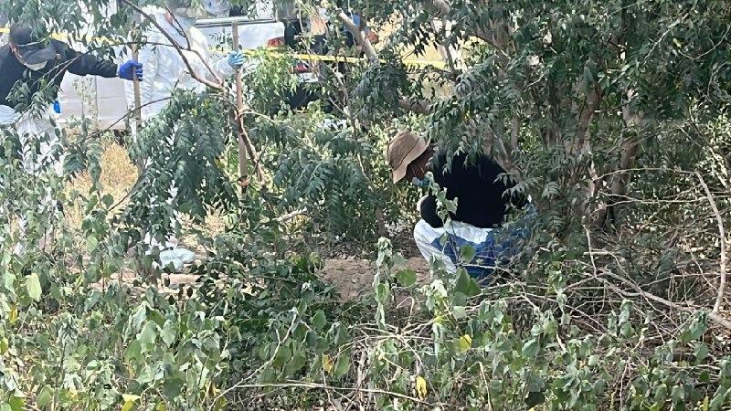 $!Hallan osamenta en zona de las cribas, en la sindicatura de Aguaruto, en Culiacán