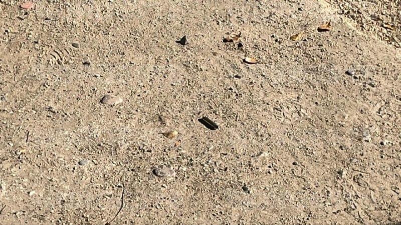 $!Balean vivienda en la colonia Revolución; el hecho activa alerta en primaria de Culiacán