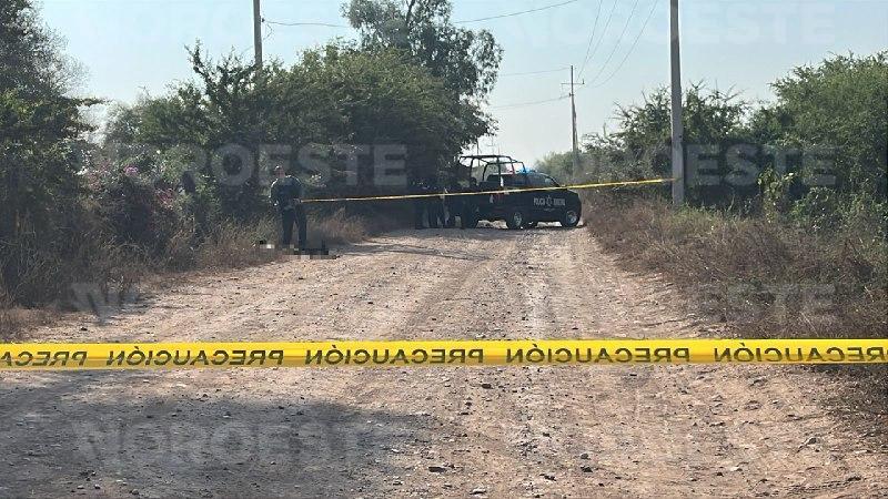 $!Localizan a dos hombres asesinados en camino de terracería en Navolato
