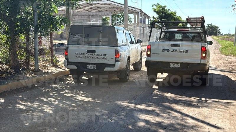 $!Muere trabajador electrocutado mientras podaba árboles en Navolato