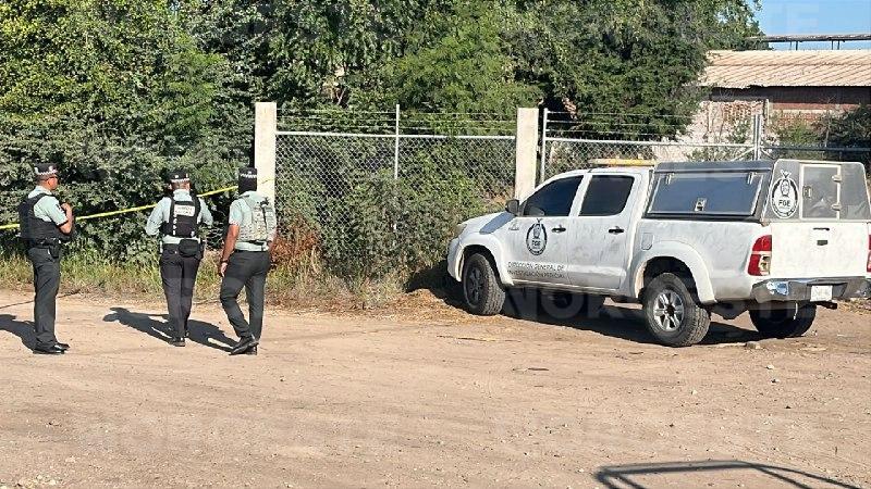 $!Localizan cadáver cubierto con plástico en zona agrícola de Culiacán