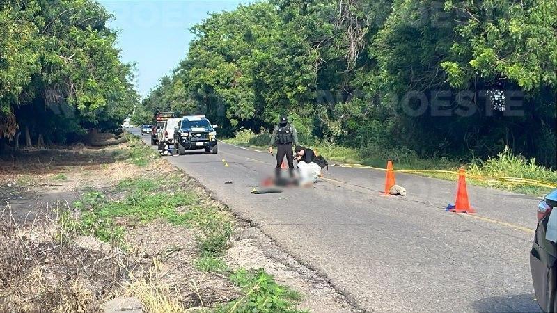 $!Muere mujer atropellada en la carretera Villa Juárez-Villa Moros, Navolato