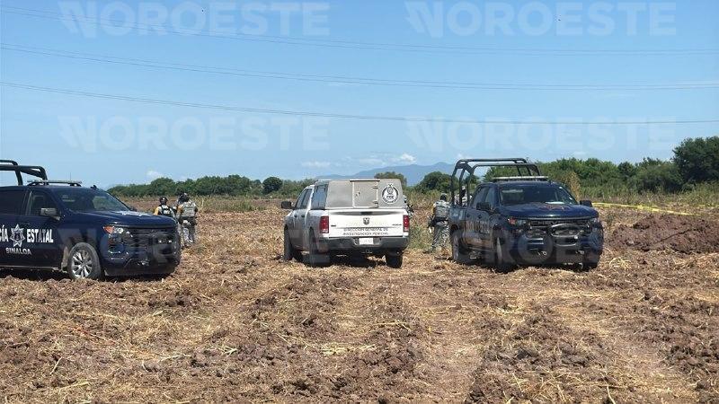 $!Hallan cuerpo sepultado en tierras de cultivo del campo Romero, en Navolato