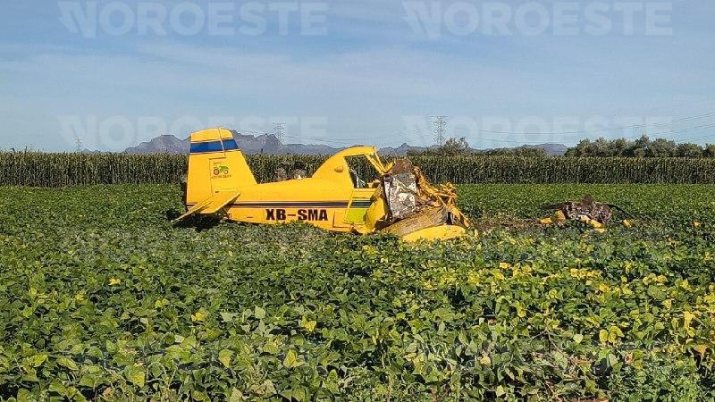 $!Falla mecánica provoca caída de avioneta en el ejido 5 de Mayo, Ahome
