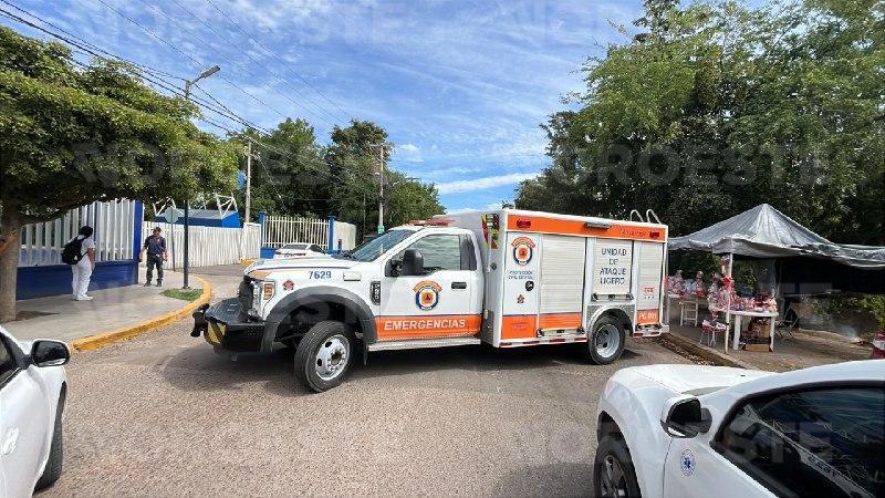 $!Enjambre desata emergencia en Medicina de la UAS en Culiacán: nueve afectados y clases suspendidas