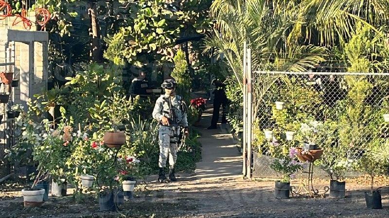 $!Ataque a balazos en vivero de Los Alamitos, en Navolato, deja una persona sin vida