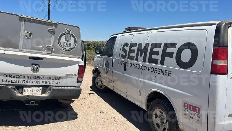 $!Hallan a hombre asesinado entre maizales de Bachigualatito, Culiacán