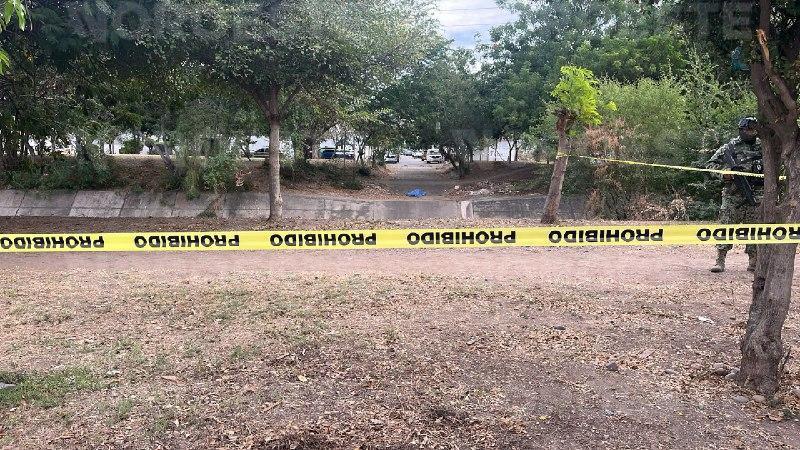 $!Encuentran a una mujer asesinada a golpes en Villa Satélite, Culiacán