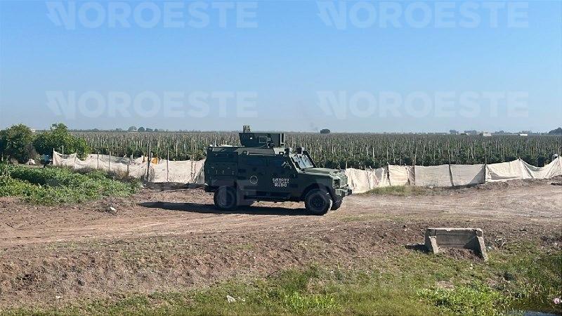 $!Hallan un hombre asesinado en una brecha del campo Santa Elena, al sur de Navolato