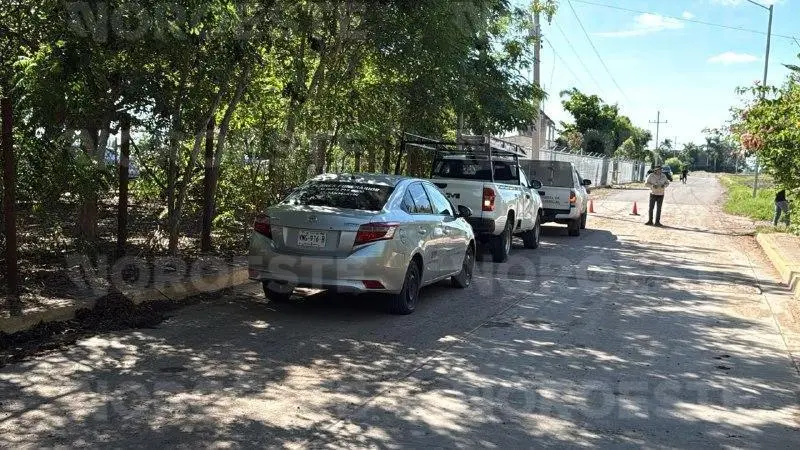 $!Muere trabajador electrocutado mientras podaba árboles en Navolato