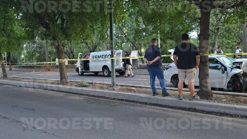 $!Muere conductor tras estrellarse contra una palmera en el Malecón Viejo de Culiacán