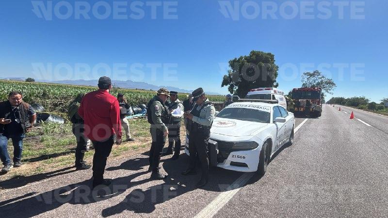 $!Vuelca tráiler con alambrón en la Culiacán-Mazatlán; muere el conductor