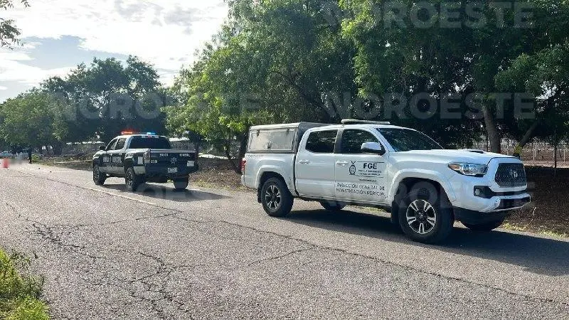 $!Muere mujer atropellada en la carretera Villa Juárez-Villa Moros, Navolato