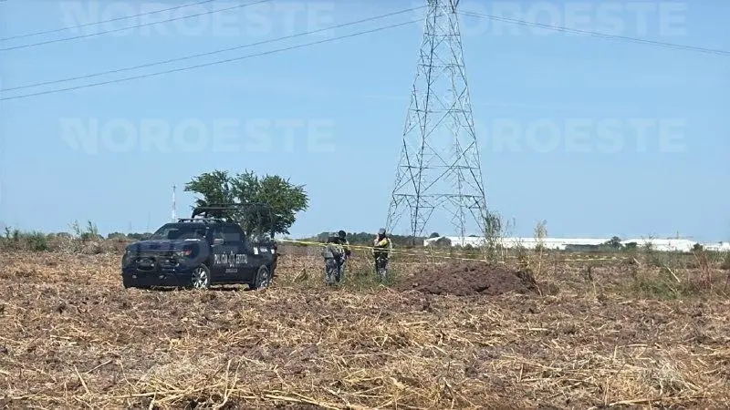 $!Hallan cuerpo sepultado en tierras de cultivo del campo Romero, en Navolato