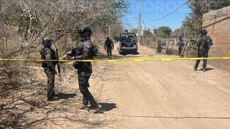 $!FGR y Semefo arriban a finca asegurada tras operativo de SSPC en Ayuné, Culiacán