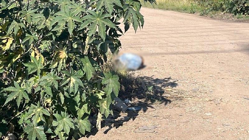 $!Hallan a hombre sin vida a un costado de la carretera Culiacán-Eldorado