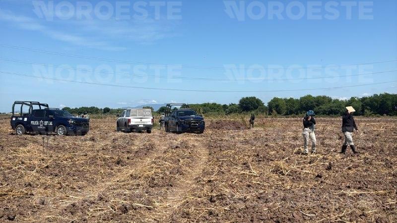 $!Hallan cuerpo sepultado en tierras de cultivo del campo Romero, en Navolato