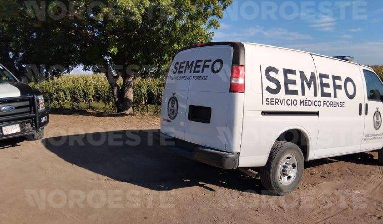 Localizan cuerpo en avanzado estado de descomposición en Villa Juárez, Navolato