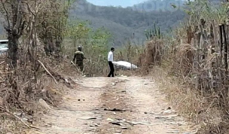 El cuerpo fue localizado entre la maleza cerca de Las Higueras del Conchi, en Mazatlán.