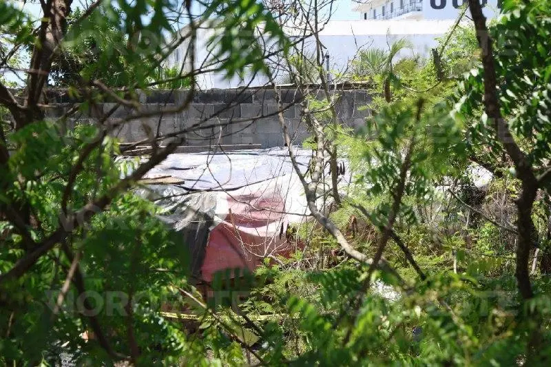$!Hallan a pareja asesinada dentro de vivienda improvisada en la colonia Jacarandas de Mazatlán