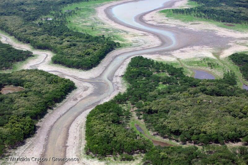 $!Los caudales de agua en los ríos de la Amazonía se redujeron a sus niveles mínimos durante la sequía de 2023.