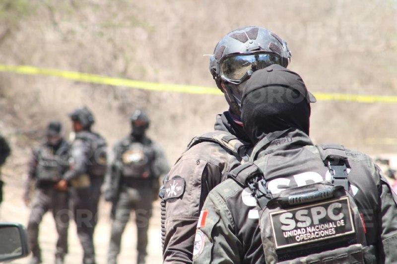 $!FGR y Semefo arriban a finca asegurada tras operativo de SSPC en Ayuné, Culiacán