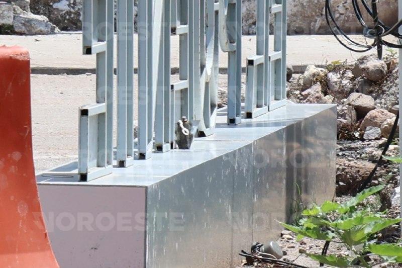 $!Ejército asegura artefacto explosivo artesanal oculto en las letras de El Puente de El Quelite, al norte de Mazatlán
