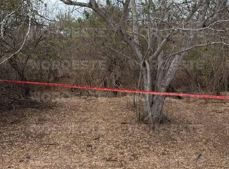 $!Localizan cuerpo en avanzado estado de descomposición cerca de Las Higueras del Conchi