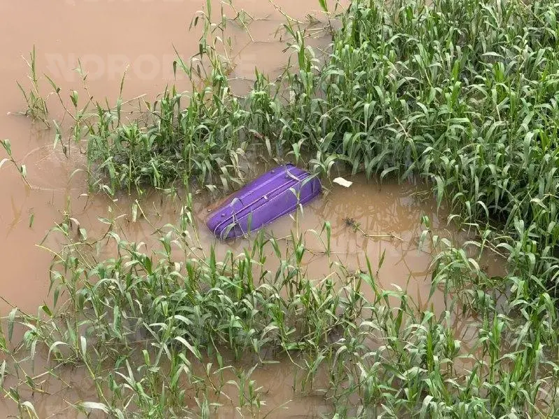 $!Hallan maleta sumergida en el río Tamazula en Culiacán; solo contenía basura