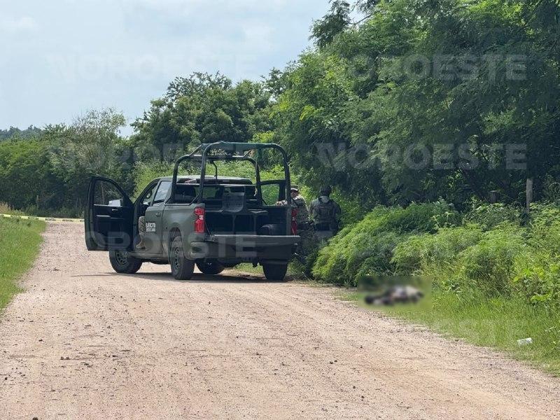 $!Localizan a hombre asesinado junto al canal Humaya al norte de Culiacán