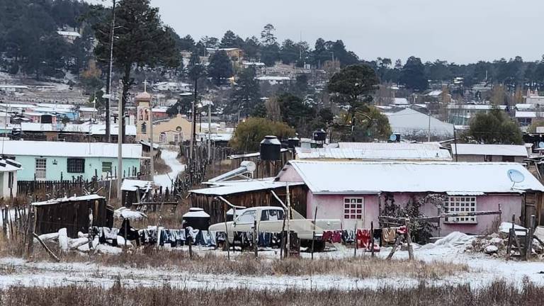 Las primeras nevadas de la temporada en Chihuahua al amanecer de este 22 de noviembre en Guadalupe y Calvo, en Chihuahua.