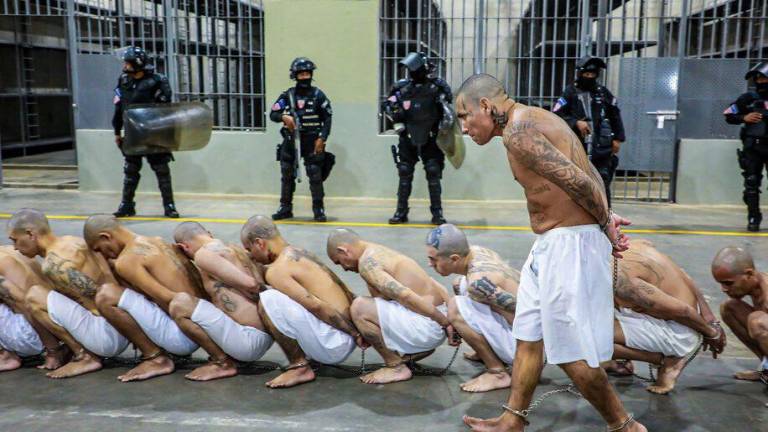 Amnistía Internacional señaló el encarcelamiento masivo como de las pocas estrategias para combatir la violencia en el País.