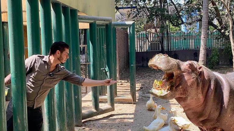 El director del recinto destacó la importancia de ‘Kathie’ para la comunidad y para el zoológico.