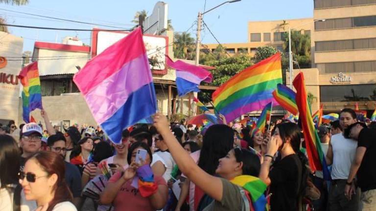 En el Congreso de Sinaloa no hay legisladores que pertenezcan a la comunidad LGBT.