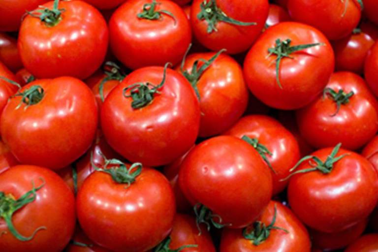 Economía y SADER manifiestan su desacuerdo con aranceles del 17.09% a tomate mexicano