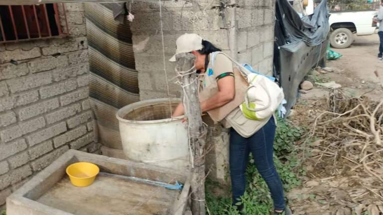 Trabaja Secretaría de Salud en Mazatlán y Escuinapa tras incremento de casos de dengue