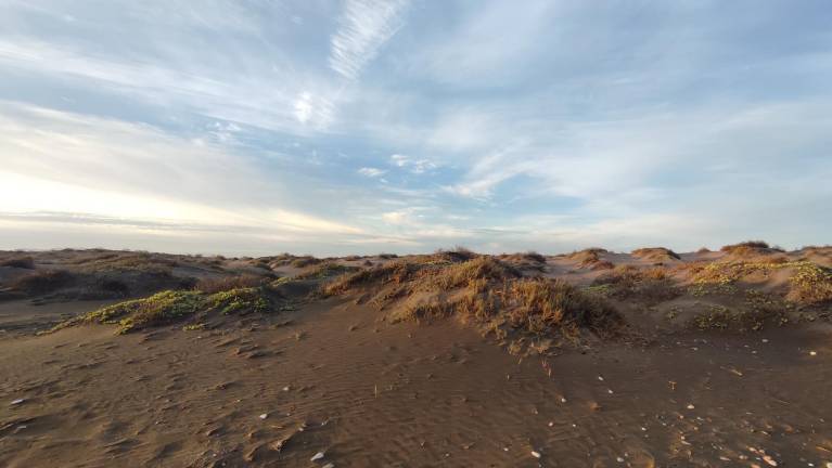 Necesitamos conservar las dunas si queremos mantener la calidad de vida en La Paz, BCS: investigadora de Cemda Noroeste
